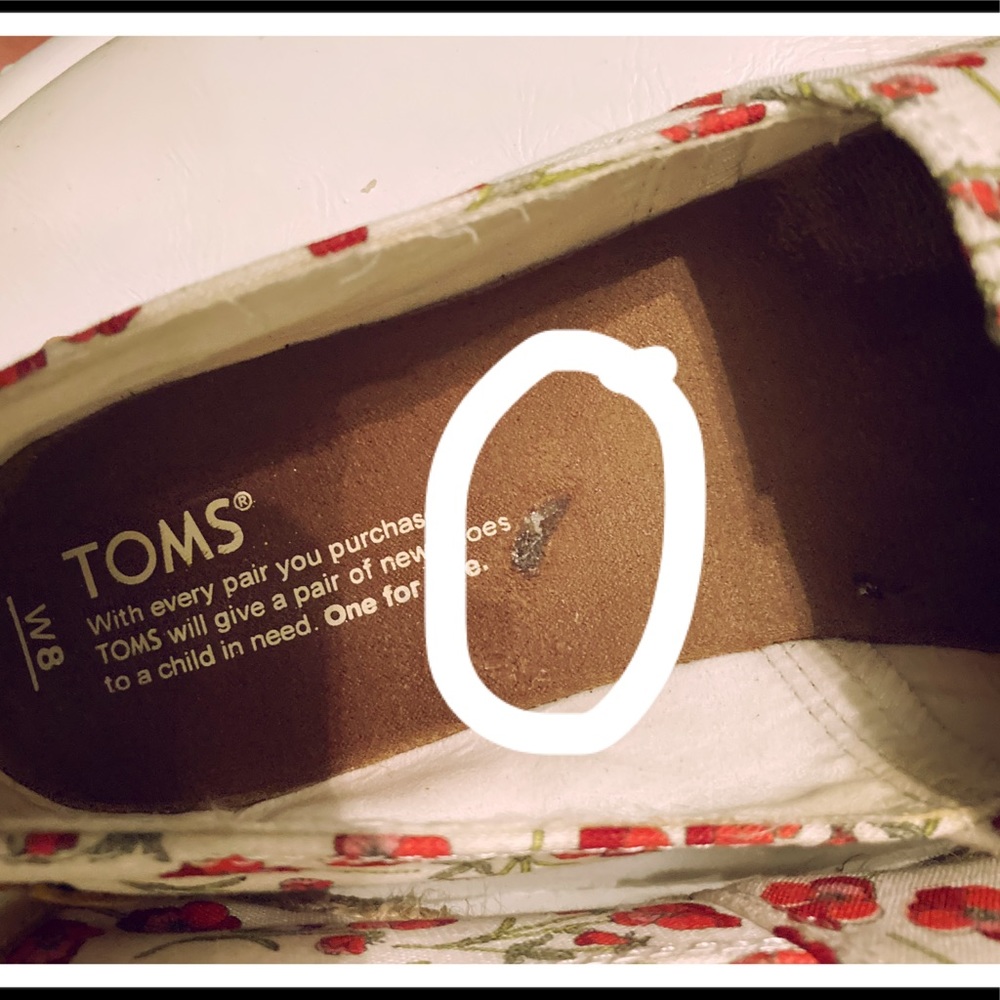 Toms - Picture 6 of 6